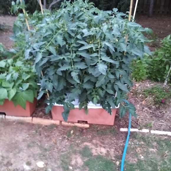 Meet your Posher, William - Picture 1 of 1